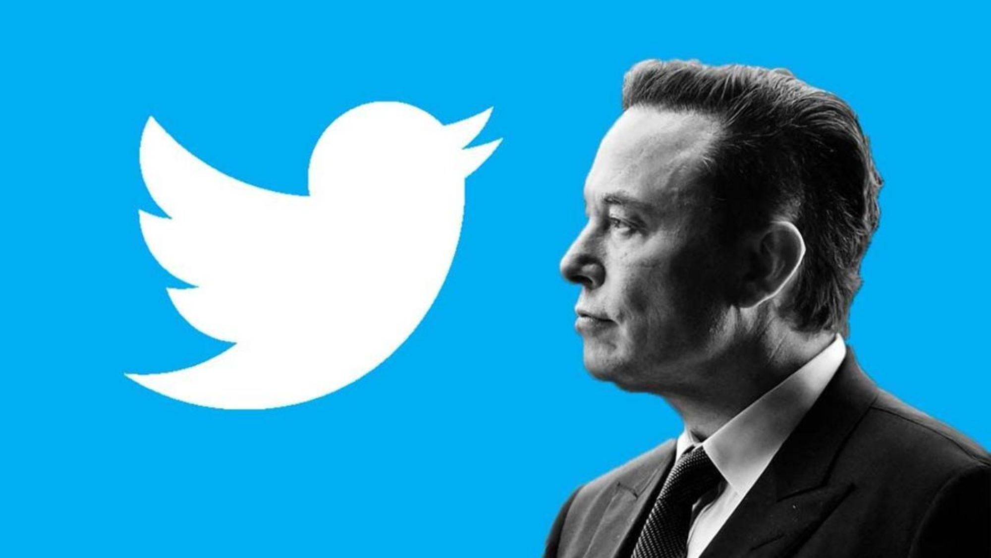 Elon Musk Twitter