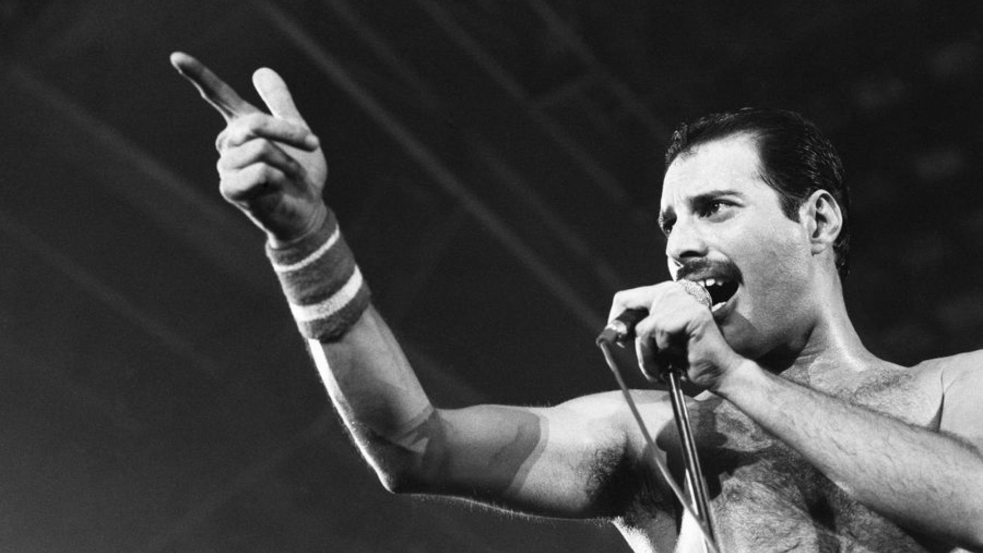 ¿Quién era la pareja de Freddie Mercury?